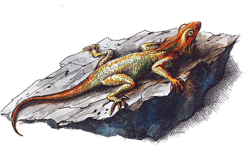 Сказки на английском